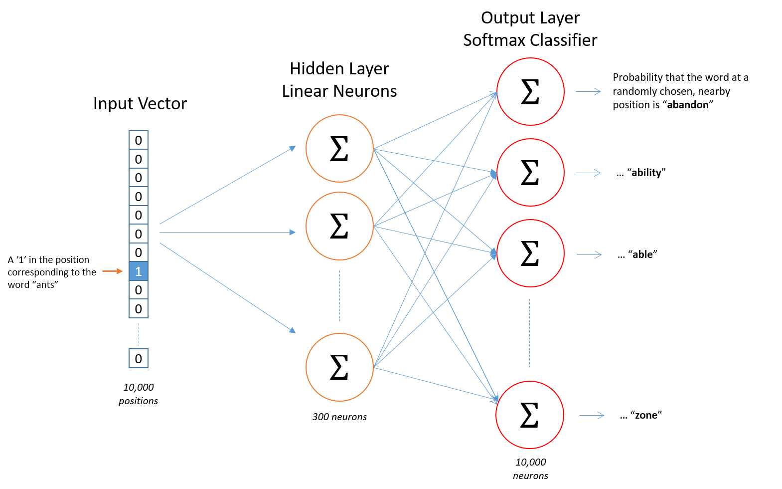 Architecture of neural network, source from Chris McCormick